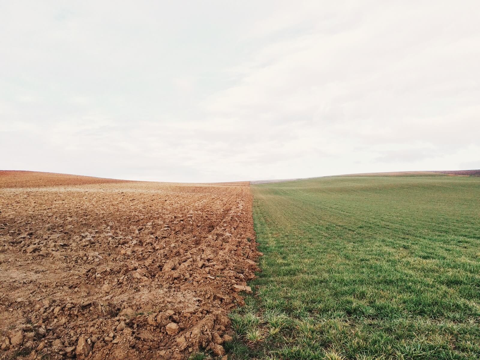 Landscape showing drought and green land.